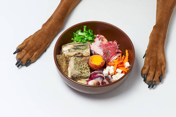 Why enables you to opt for Raw pet food?