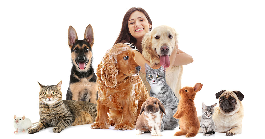 The Advantages and Disadvantages of Pet Franchising