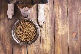 3 Nutritious and Delicious Homemade Dog Food Recipes for Allergies