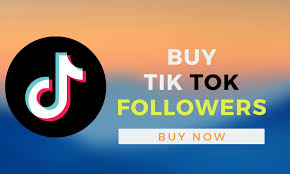 Get the Edge You Need in The Marketplace – Purchase Professional-Grade Tiktok followers Now!