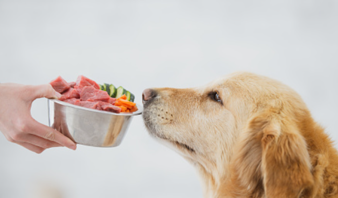 The Science Behind the Raw Dog Food Diet and Its Benefits