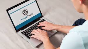 Just How Can a highly skilled WordPress Consultant Help Your Website?