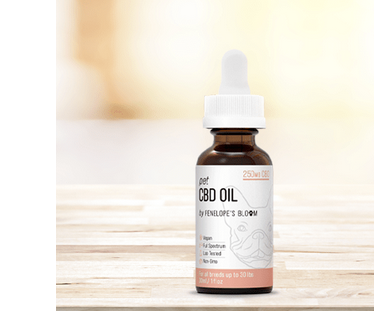 The Ideal Utilizes of CBD Oils for Canines