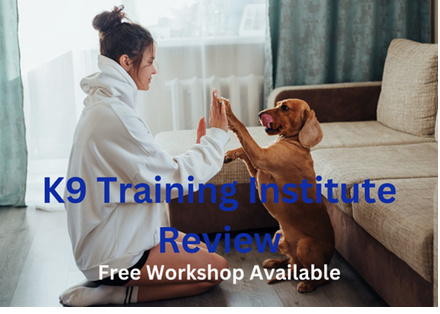 In the Spotlight: Real Stories from K9 Training Institute Reviews