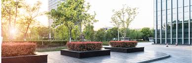 Understanding the Value of Regular Tree Maintenance