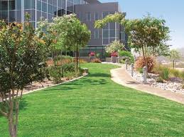 Transforming Outdoor Spaces: Professional Landscape Maintenance Insights